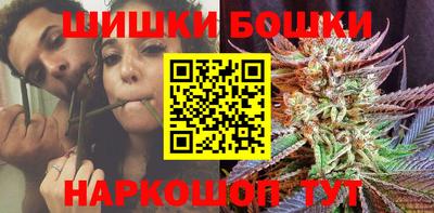индика Татарск