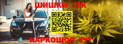 индика Татарск