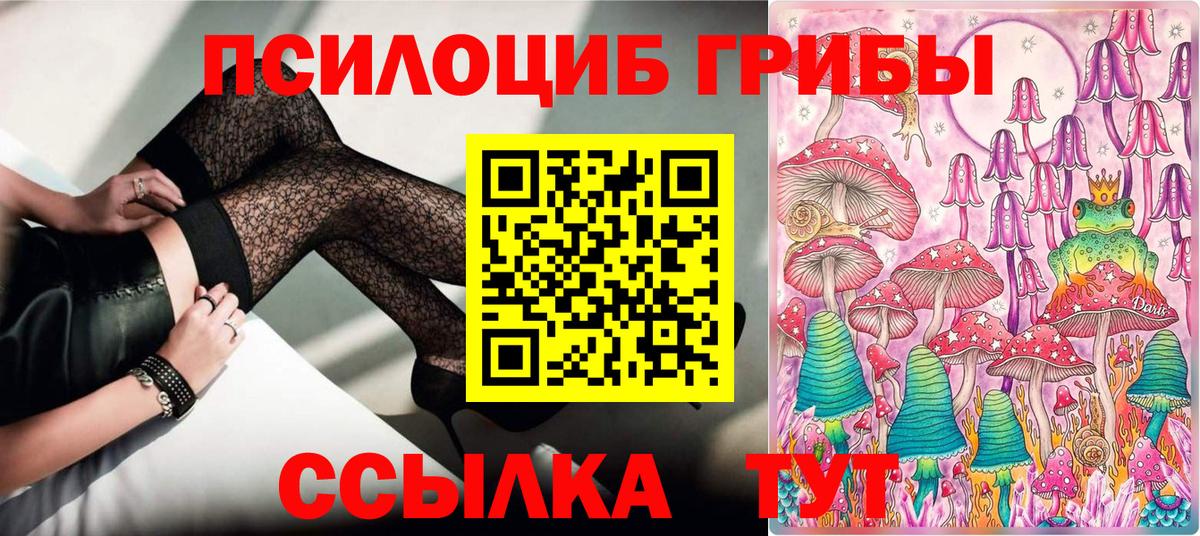 Псилоцибиновые грибы прущие грибы Нарткала